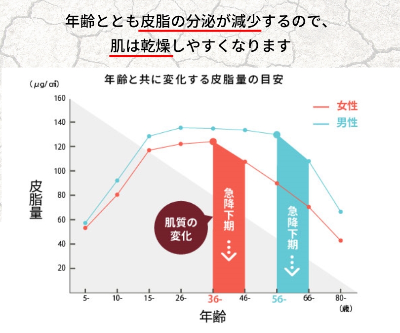 皮脂の分泌が減少するので、肌は乾燥しやすくなる