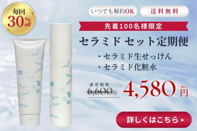 定期便スタートキャンペーン ピックアップバナー