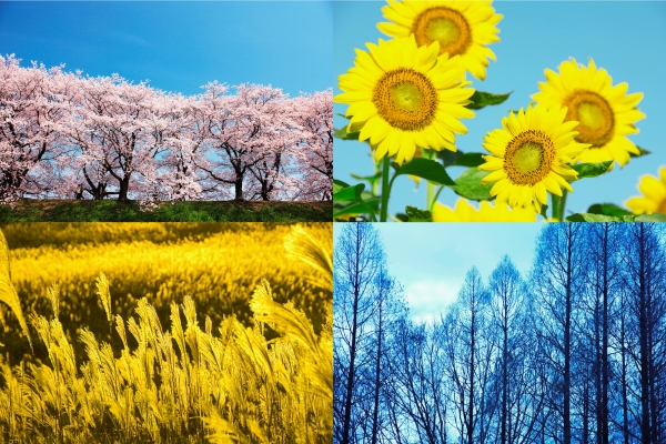 四季