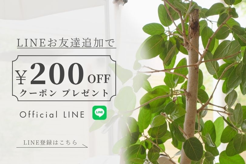 LINE友だち追加で200円off クーポンプレゼント