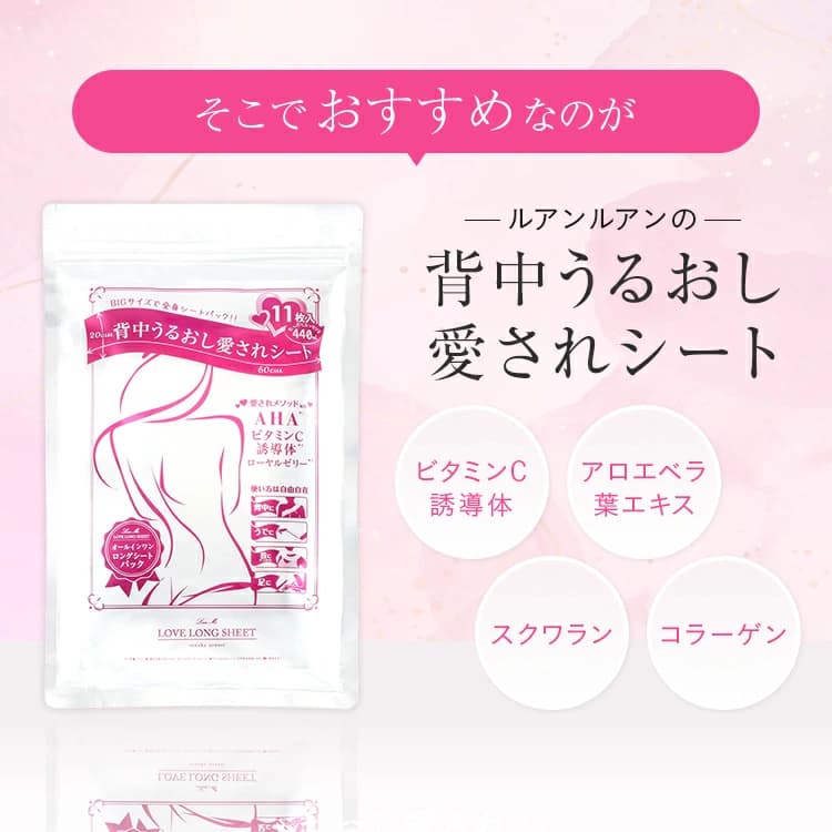 背中シート