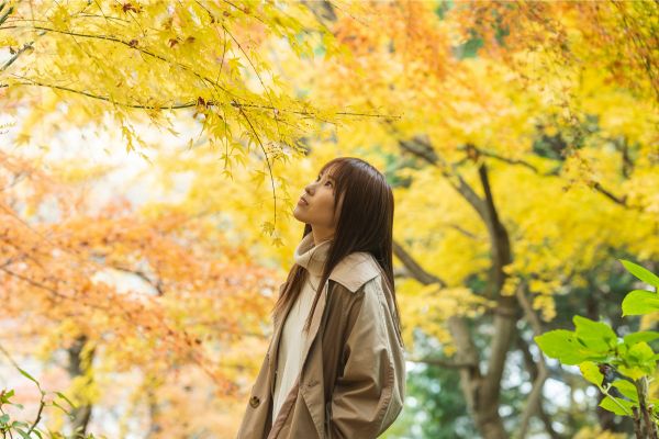 紅葉の下に立つ女性