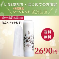 【販売終了】生せっけんスティックオリジナル&泡立てネット|はじめての方限定