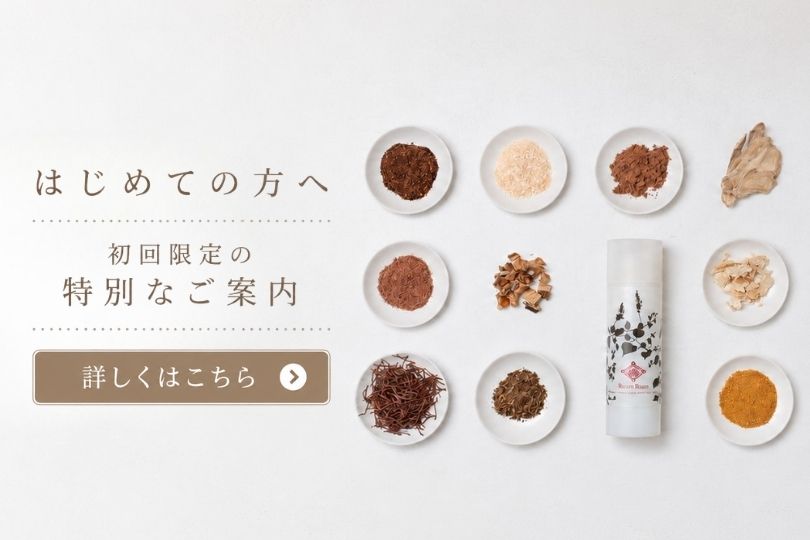 初回限定の特別なご案内