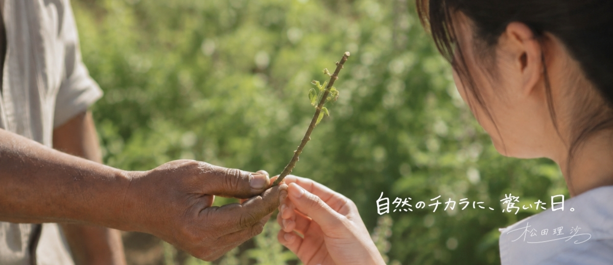 第2話 自然のチカラに、驚いた日。