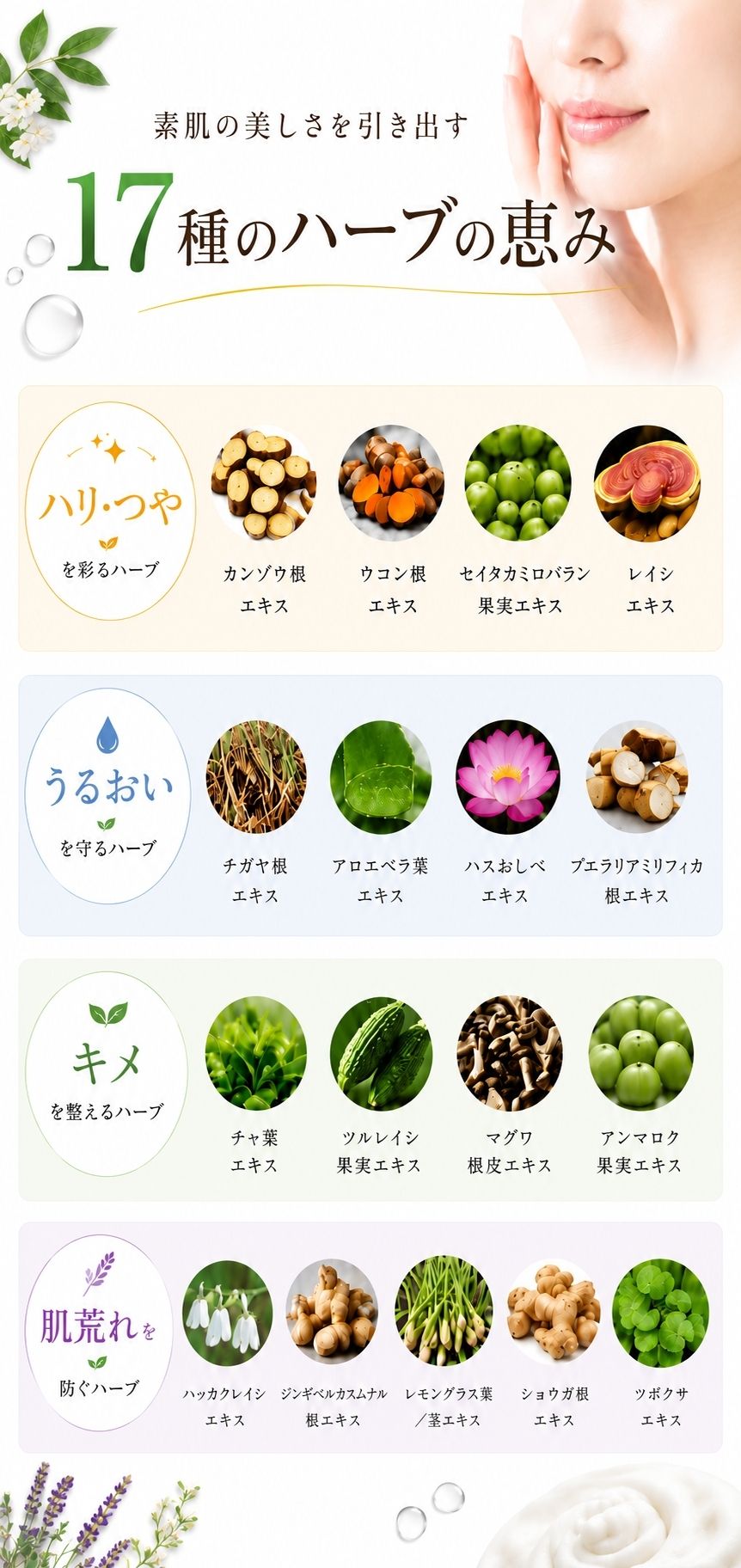 17種のハーブ