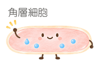 角層細胞_イラスト